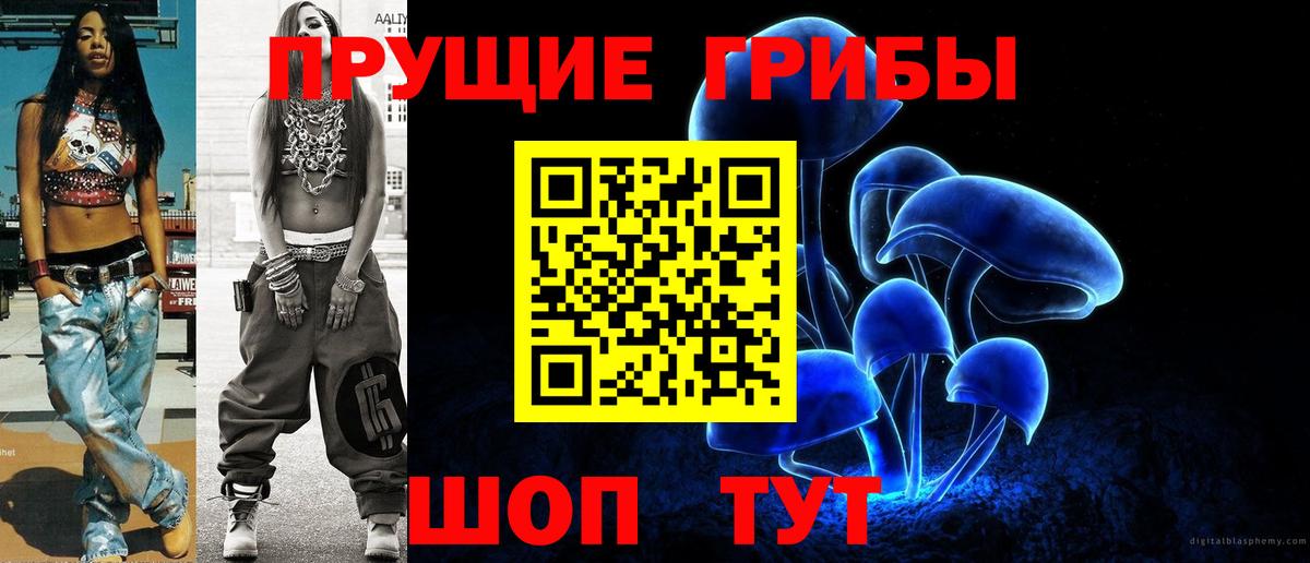 Галлюциногенные грибы Psilocybine cubensis Железноводск