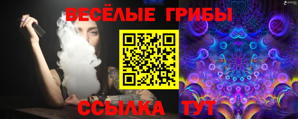Псилоцибиновые грибы MAGIC MUSHROOMS  Вход с VPN  Железноводск 
